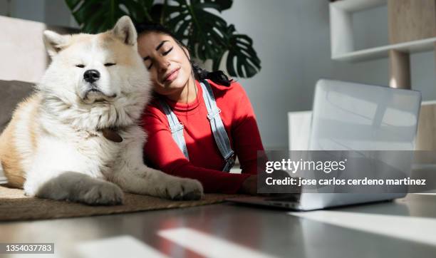 latin woman stands next to her dog lying on the floor in a scene of tranquility and love - akita stock pictures, royalty-free photos & images