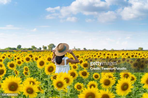 happy woman in sunflower field - tour sunflowers stock pictures, royalty-free photos & images