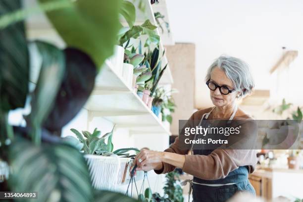 senior woman working in a florist shop - support local stock pictures, royalty-free photos & images