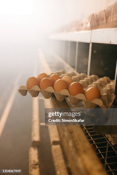 close up of eggs in container - egg carton stock pictures, royalty-free photos & images