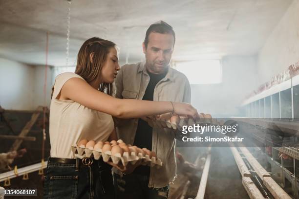 daughter with father picking up egg from carton - hatchery stock pictures, royalty-free photos & images