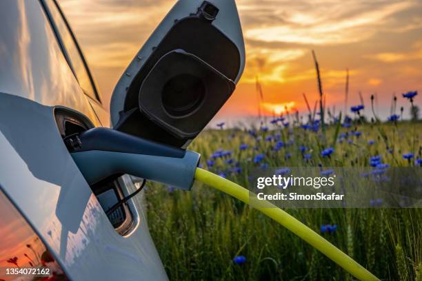 carga de un coche eléctrico en un campo de flores rural - vehículo híbrido fotografías e imágenes de stock