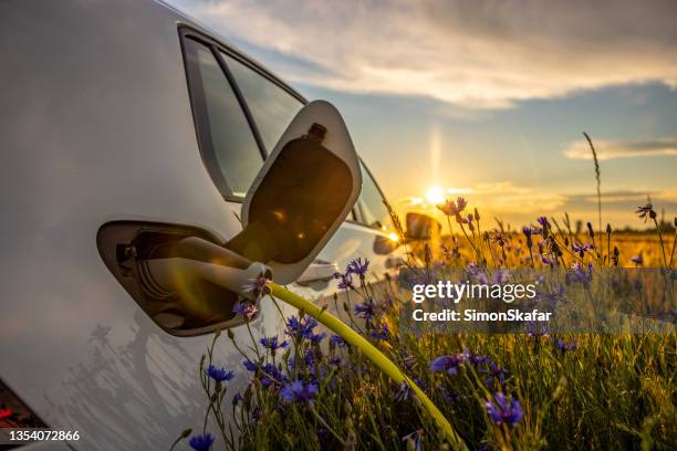 charging an electric car on rural flower field - elektroauto tanken stockfoto's en -beelden