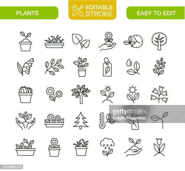 illustrazioni stock, clip art, cartoni animati e icone di tendenza di icone della pianta imposta tratto modificabile - flora
