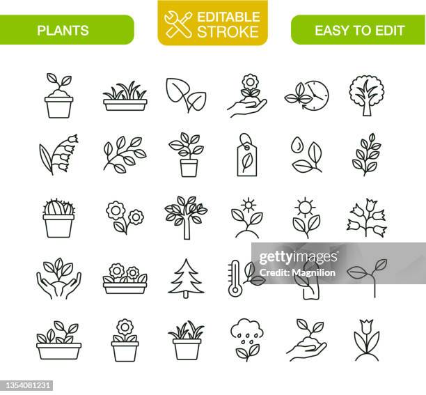 ilustrações, clipart, desenhos animados e ícones de ícones de planta definem traçado editável - vaso de flor