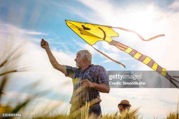 homme âgé pilotant du cerf-volant dans un champ rural - kite flying photos et images de collection