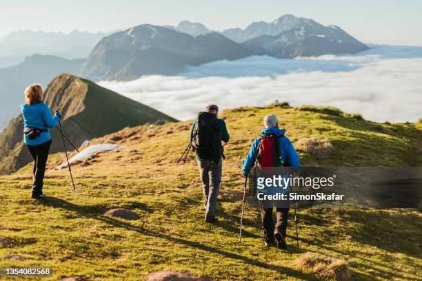 mature male and female hikers with trekking poles walking on mountain - people climbing walking mountain group stock pictures, royalty-free photos & images