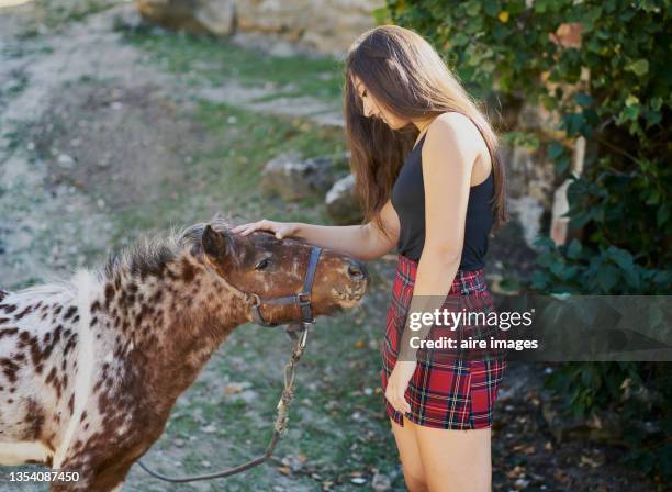 brunette girl hand touching a brown and white pony with trees on the right side - einhorn wald stock-fotos und bilder