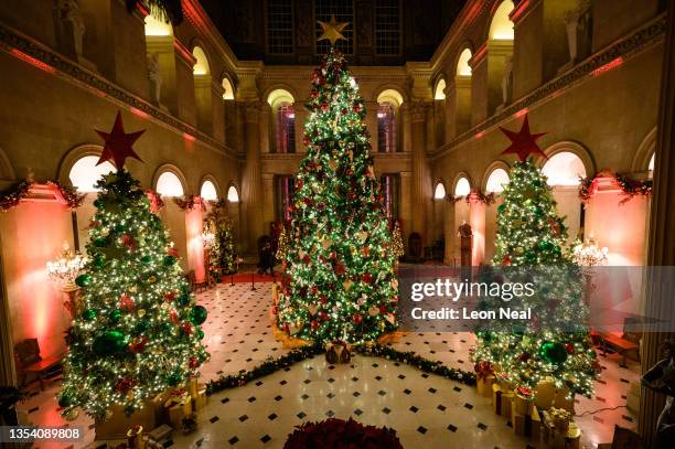 An enormous Christmas tree greets visitors as they enter Blenheim Palace on November 18, 2021 in Woodstock, England. The after-dark light trail is...