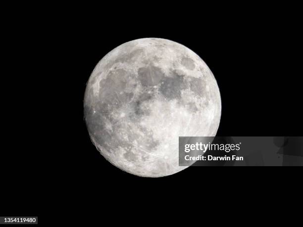 Beaver Moon Color 541 Beaver Moon Stock Photos, High-Res Pictures, and Images - Getty Images