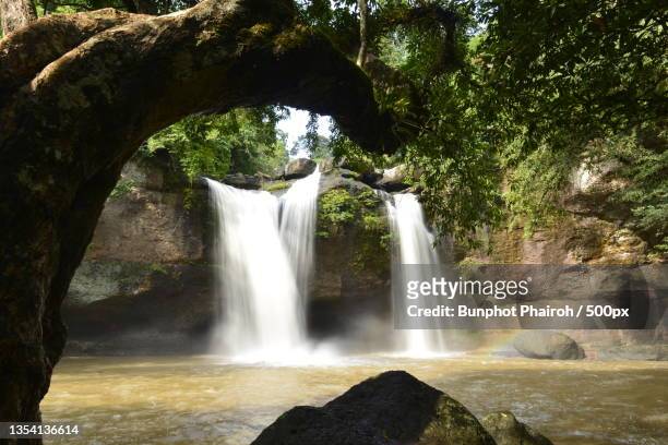 scenic view of waterfall in forest,khao yai national park,thailand - khao yai national park stock pictures, royalty-free photos & images