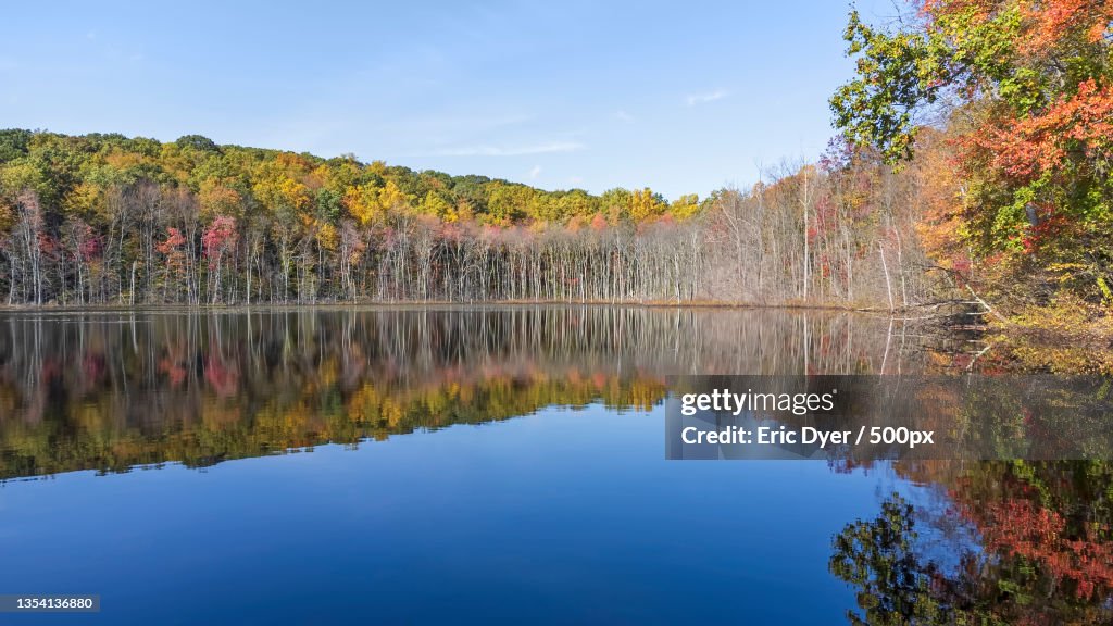 Scenic view of lake by trees against sky,Silent Waters Canoe Launch,United States,USA