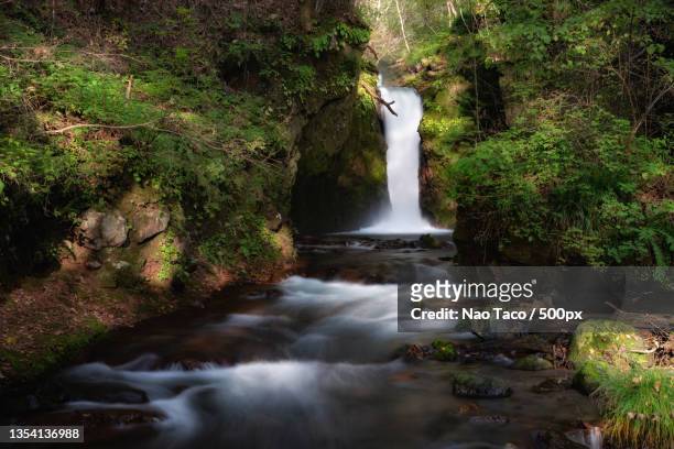 scenic view of waterfall in forest,karuizawa,japan - karuizawa stock-fotos und bilder