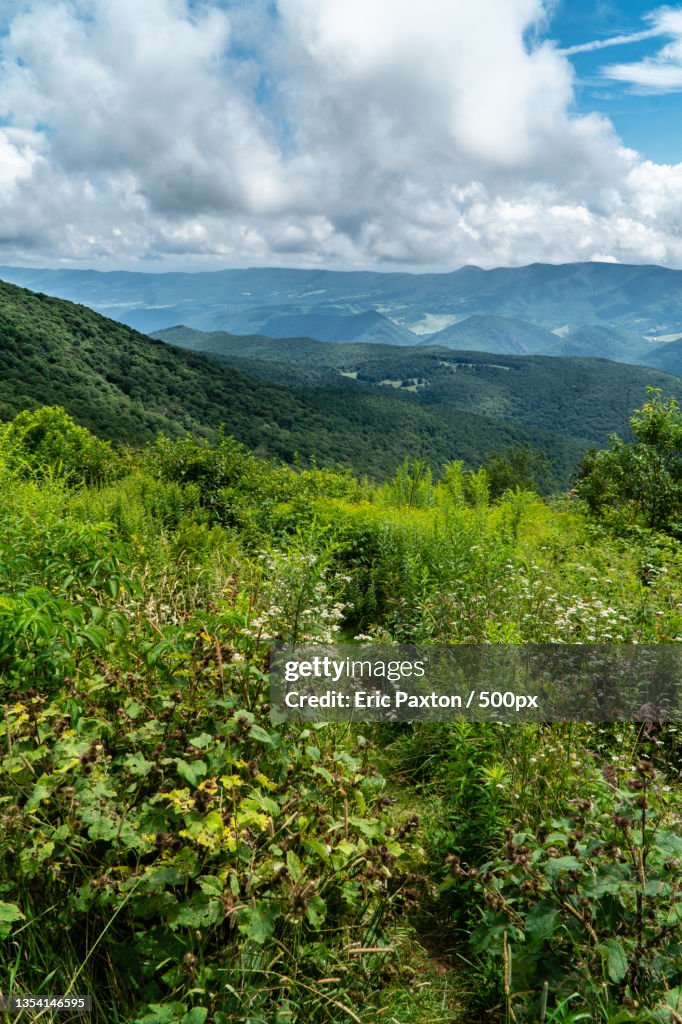 Scenic view of landscape against sky,Spruce Knob,United States,USA