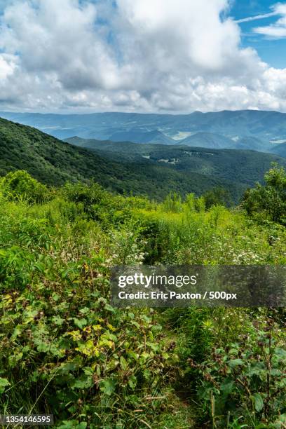 scenic view of landscape against sky,spruce knob,united states,usa - spruce knob mountain stock pictures, royalty-free photos & images