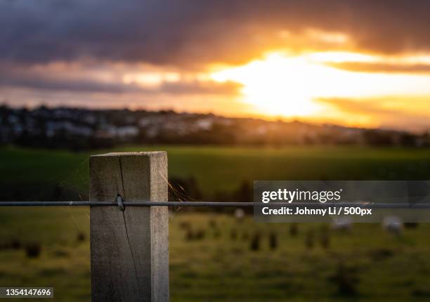 scenic view of field against sky during sunset,new zealand - rural new zealand stock pictures, royalty-free photos & images