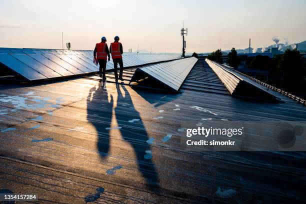 männliche ingenieure, die an reihen von photovoltaikmodulen entlanggehen - umweltfreundliche energieerzeugung stock-fotos und bilder