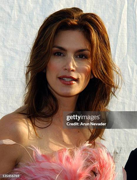 Cindy Crawford during 10th Anniversary Dream Halloween Los Angeles Fundraising Event at Barker Hangar in Santa Monica, California, United States.