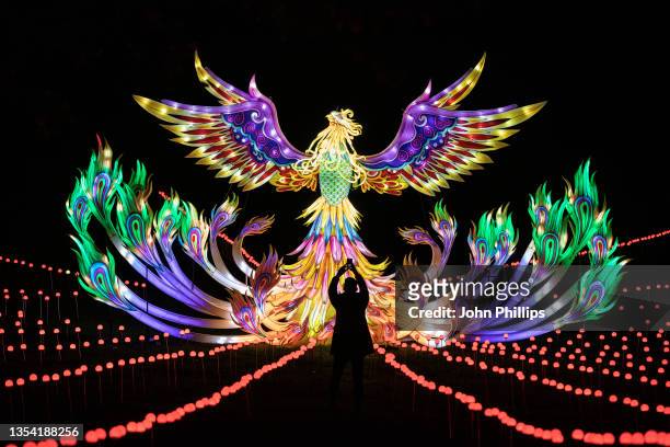 Phoenix of light during the launch night of Lightopia London 2021 at Crystal Palace Park on November 18, 2021 in London, England.