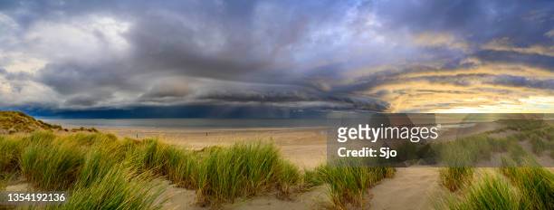 sunrise in the dunes at texel island with a storm cloud approaching over the wadden sea - marram grass stock pictures, royalty-free photos & images