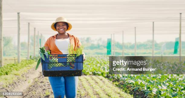 aufnahme einer jungen frau, die eine kiste mit frisch geernteten ernten von ihrem hof trägt - landwirtschaft afrika stock-fotos und bilder