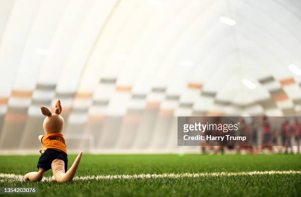 Detailed view of a Wallaby toy as Players of Australia huddle during Australia Rugby Training And Team Photocall at the House of Sport on November...