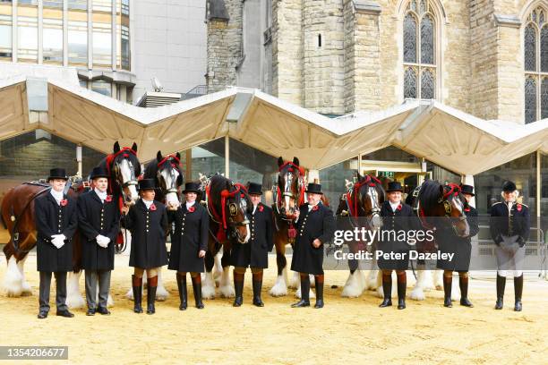 Lord Mayor's Show Coachmen holding Shire Horses before harnessing to the State Coach prior to the 2021 Lord Mayor’s Show on November 13,2021 in...