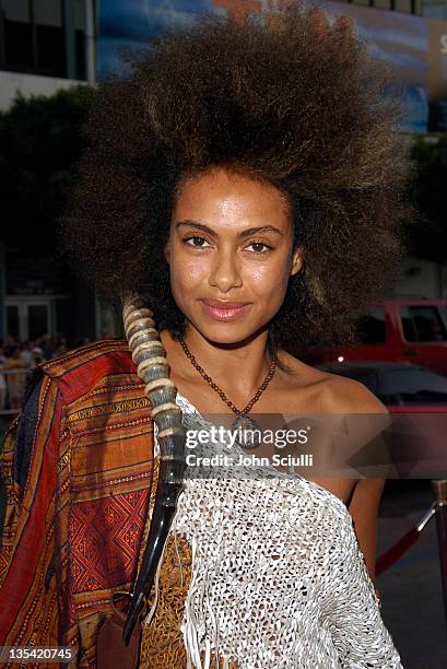 Shakara Ledard during "Harold & Kumar Go to White Castle" Los Angeles Premiere - Red Carpet at Mann Chinese Theatre in Hollywood, California, United...