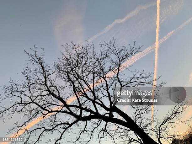 contrails in the afternoon sky - sunset with jet contrails stock pictures, royalty-free photos & images