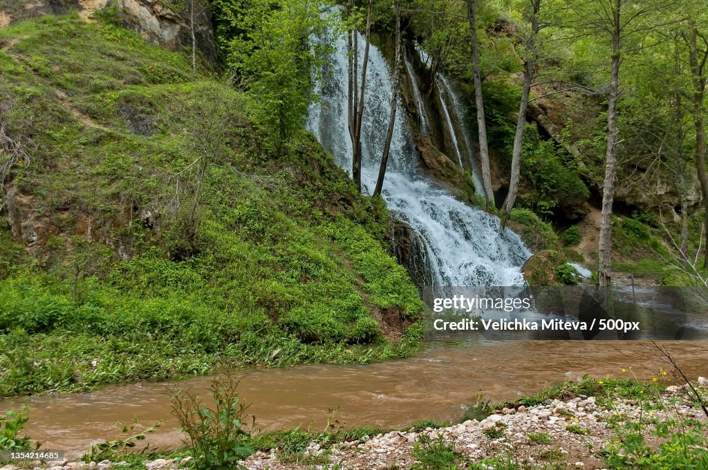 Scenic view of waterfall in forest,Bigar River,Serbia
