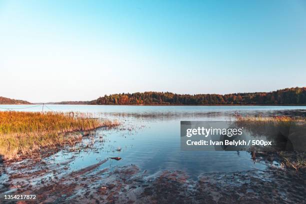 scenic view of lake against clear blue sky - belykh stock-fotos und bilder