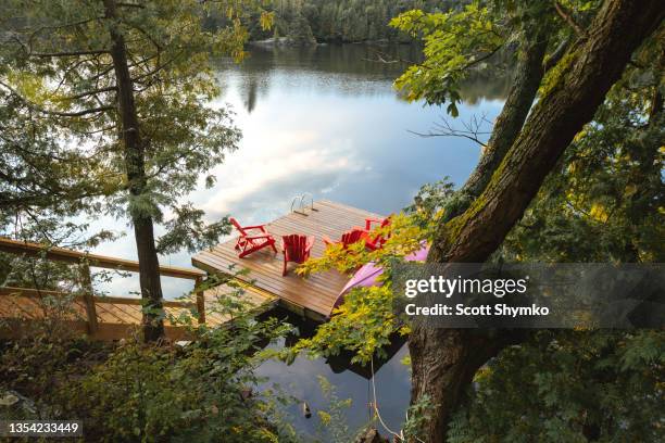 an early morning at a cottage by a lake - cottage stockfoto's en -beelden