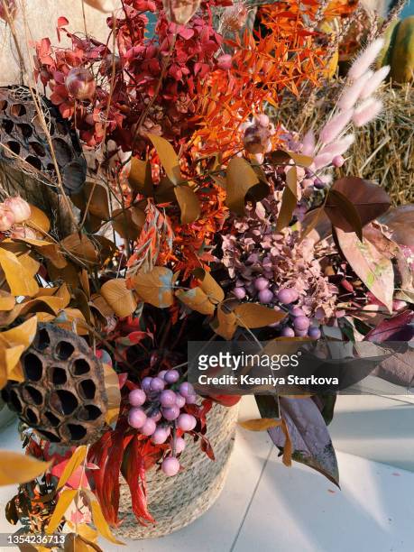 dried flowers autumn decor - dried plant stock pictures, royalty-free photos & images