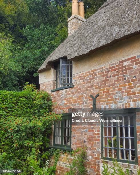 english cottage - thatched cottage stock pictures, royalty-free photos & images