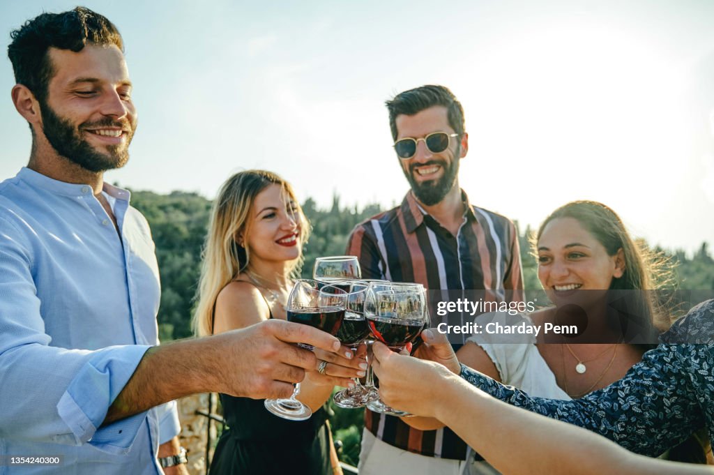 Shot of a group of friends sharing a toast while standing outside