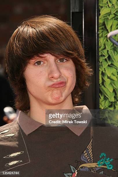 Mitchel Musso during DreamWorks' Los Angeles Premiere of "Over the Hedge" at Mann Village Theater in Westwood, CA, United States.