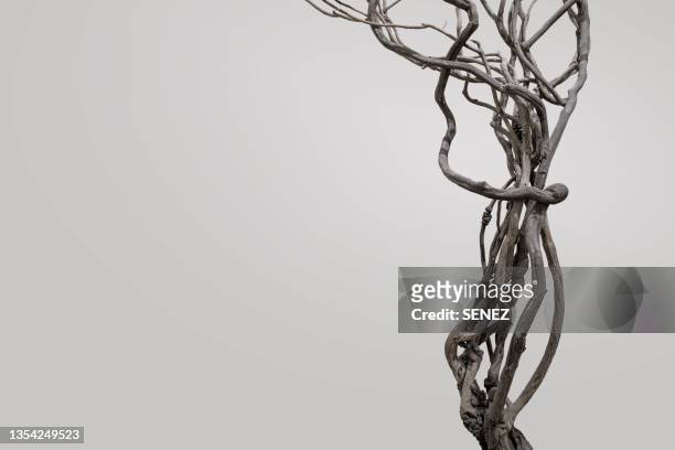 withered vine, gray color background - klimplant stockfoto's en -beelden