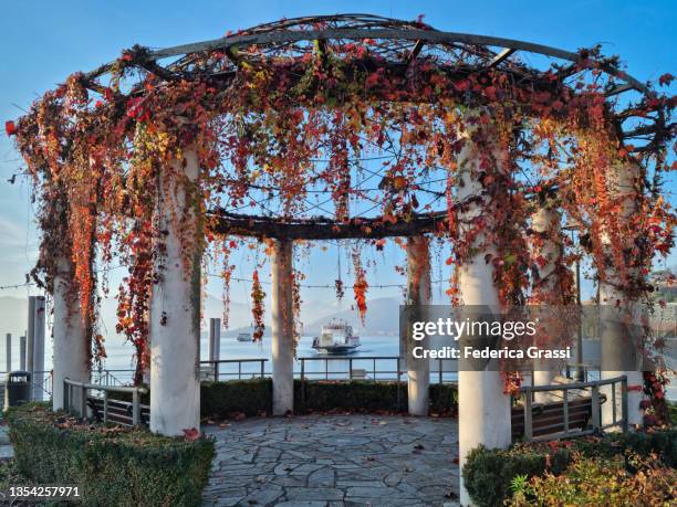 gazebo covered with fall foliage and ferry boat arriving at the dock in laveno, lake maggiore - マジョーレ湖 ストックフォトと画像