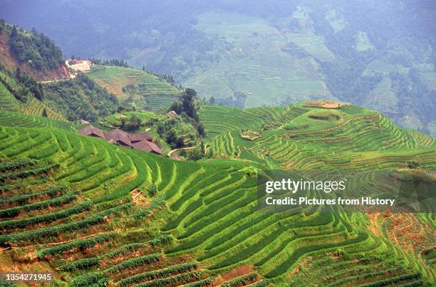Longji Terraced Rice Fields received their name because the rice terraces resemble a dragon's scales, while the summit of the mountain range looks...
