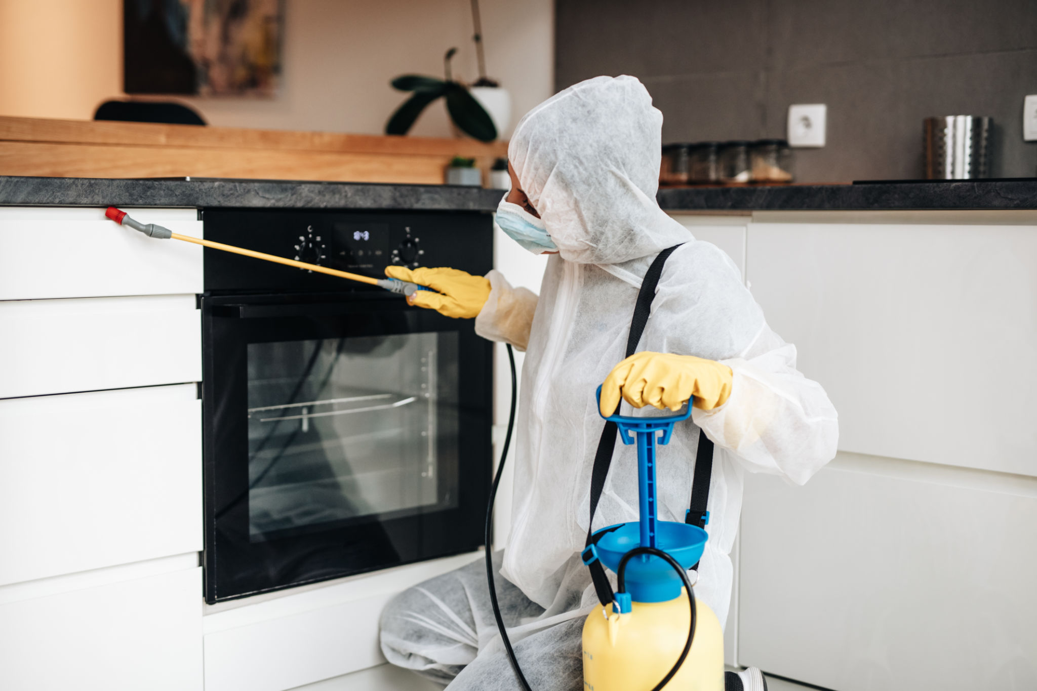 researching pest control services
