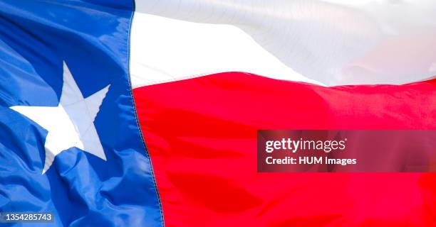 Close up of a large Texas flag, blowing on a windy day.