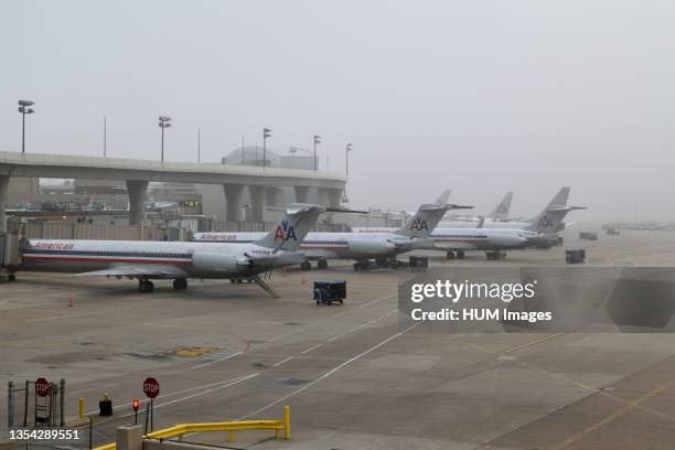 American Airlines airplanes parked at their gates on a foggy day at DFW International Airport.