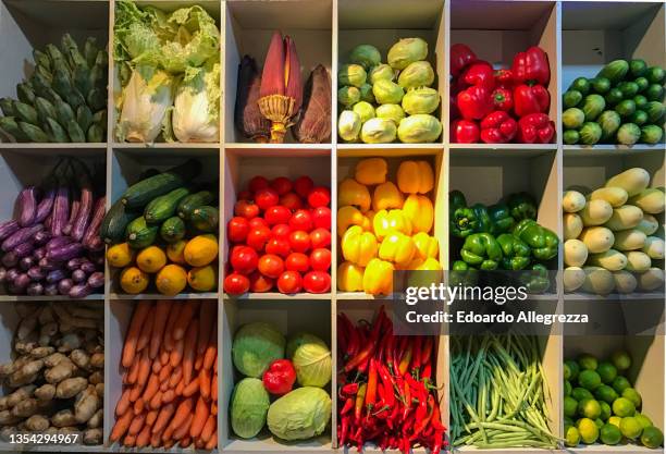Colorful organic vegetables on a shelf