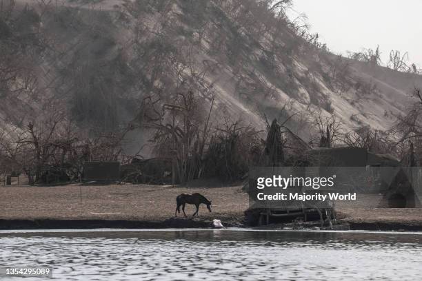 Damaged houses and trees are seen covered in volcanic ash following the eruption of Taal volcano in Batangas province south of Manila, Philippines....