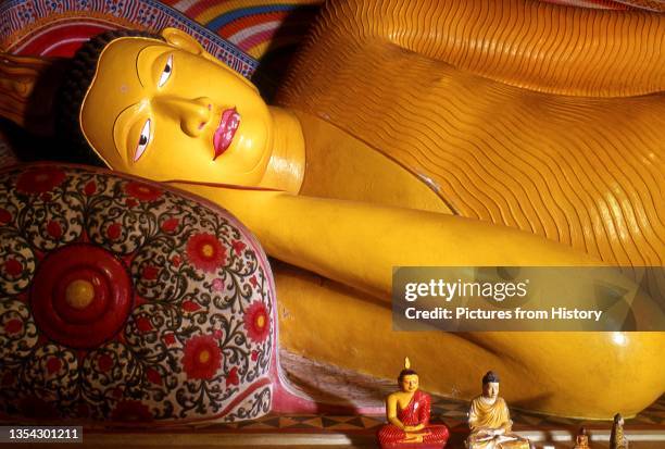 Pilima Rupa 23 Pilima Stock Photos, High-Res Pictures, and Images - Getty Images