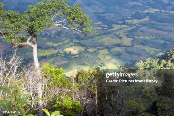 Province is located in Thailand's upper North-East. Neighboring provinces are Nong Khai, Udon Thani, Nongbua Lamphu, Khon Kaen, Phetchabun,...