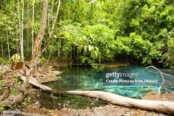 Located southeast of Krabi Town 18km east of the small town of Khlong Thom, Khao Pra - Bang Khram Wildlife Sanctuary is a small area of lowland...