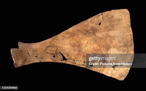 Oracle Bone Script Turtle Oracle Bone Script Photos and Premium High Res Pictures - Getty Images
