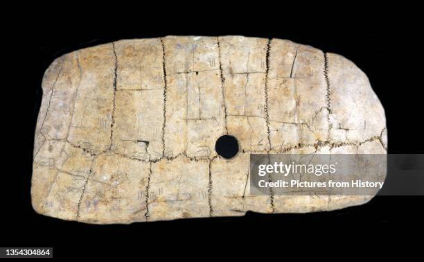 Oracle Bone Script Turtle Oracle Bone Script Photos and Premium High Res Pictures - Getty Images