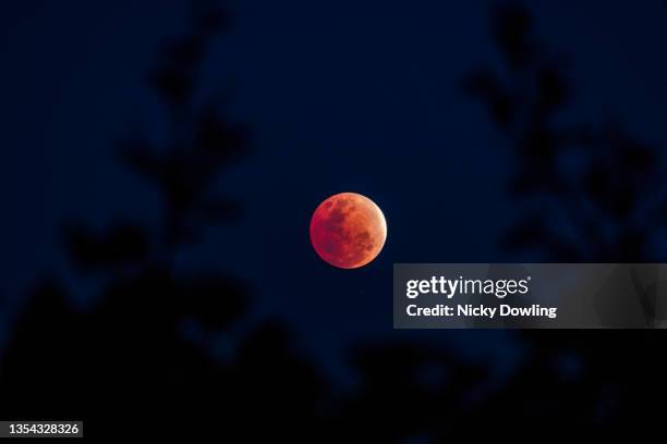 partial lunar eclipse - maansverduistering stockfoto's en -beelden